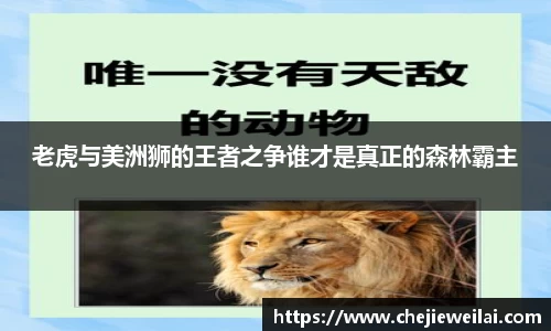 星空·综合体育中国官网