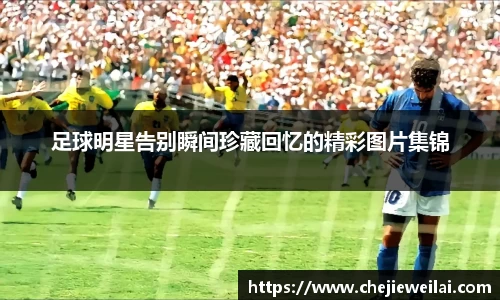 星空·综合体育官方网站