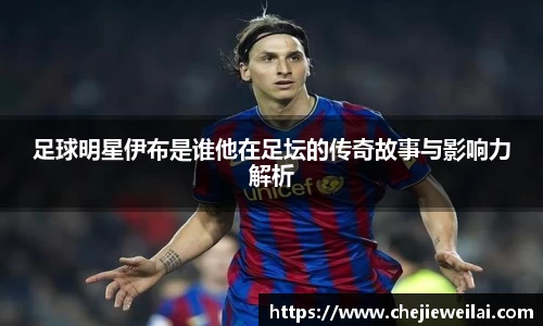 星空·综合体育官方网站