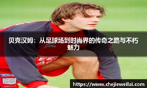 星空·综合体育