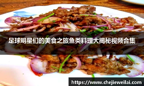 星空·综合体育